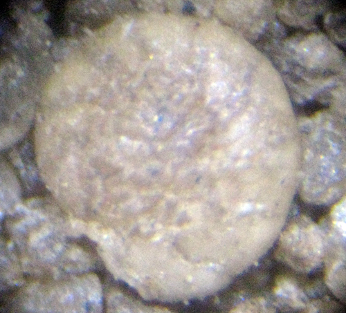 Aiuto id sabbie zona Pisticci (MT)