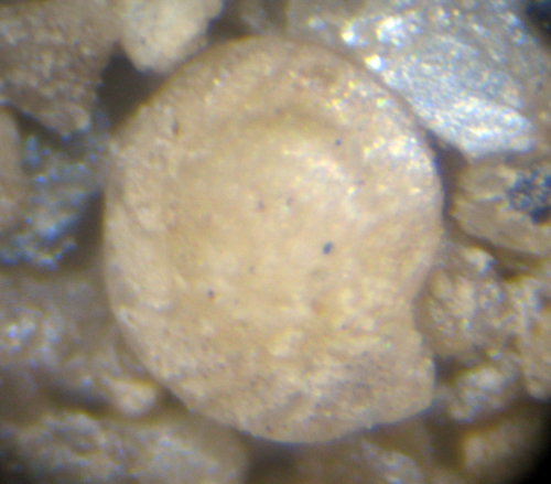 Aiuto id sabbie zona Pisticci (MT)