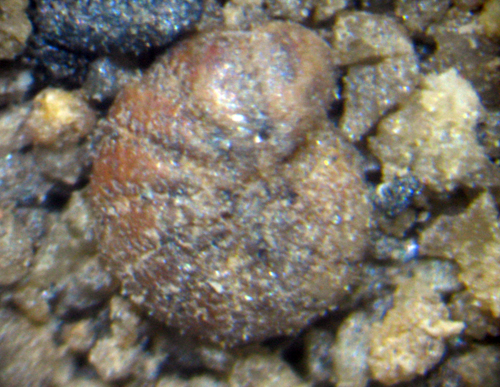 Aiuto id sabbie zona Pisticci (MT)