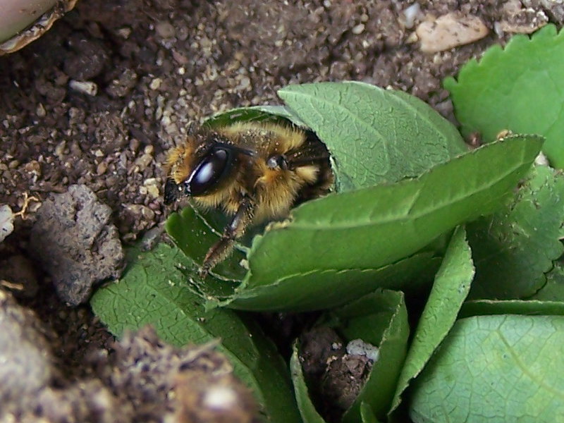 718.jpg_20115220250_718.jpg