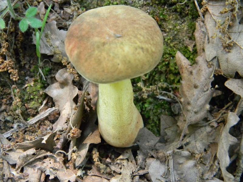 3gruppo di ritr.del 27.05.2011.sotto Quercia