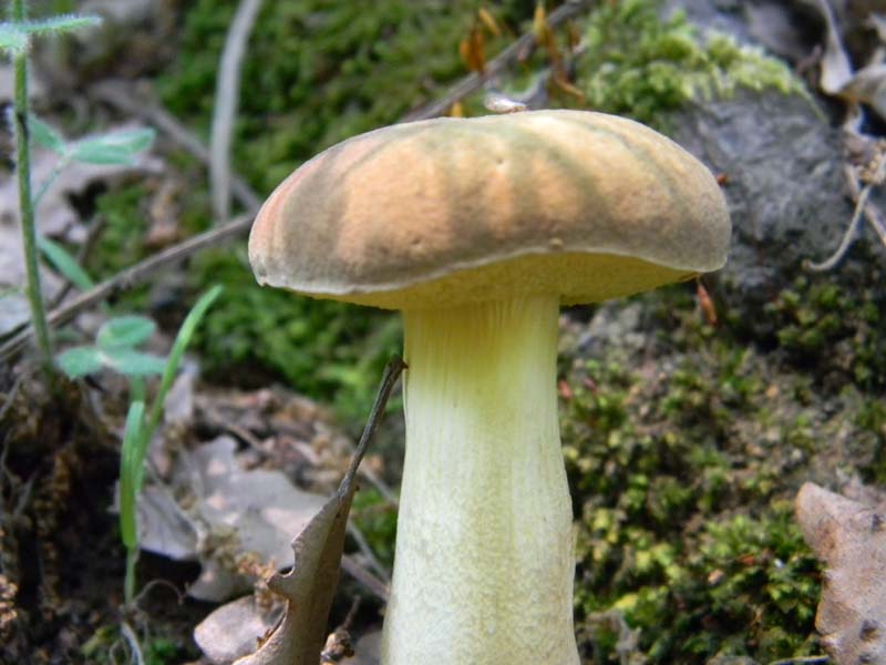 3gruppo di ritr.del 27.05.2011.sotto Quercia