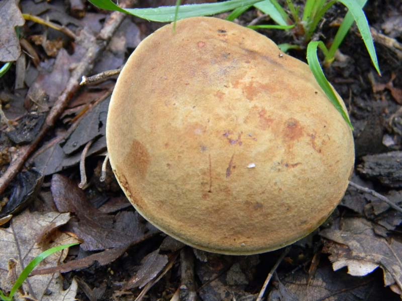 Ritrovamenti del 7.06.2011.4�gruppo