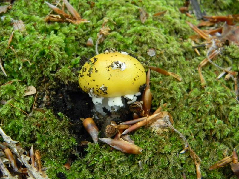 Ritrovamenti del 7.06.2011.4�gruppo