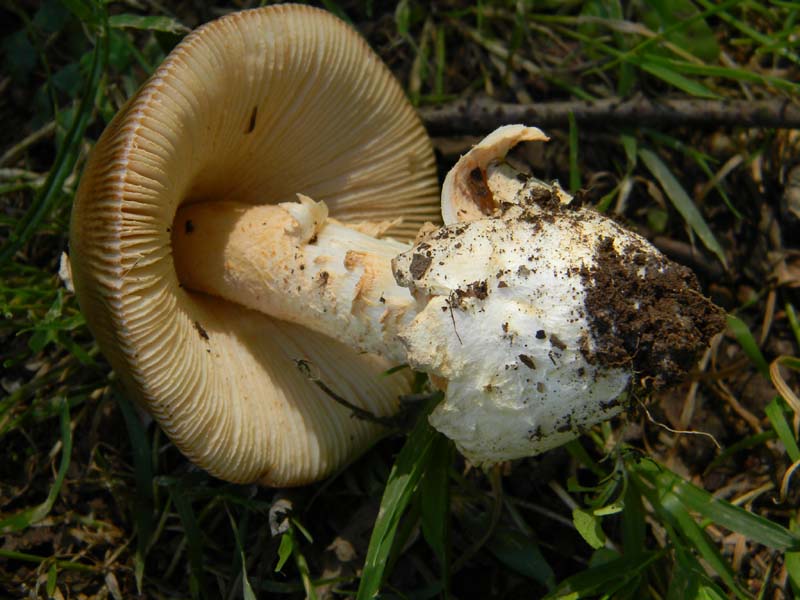 3�gruppo fotog.il 10.06.2011.sotto Quercia