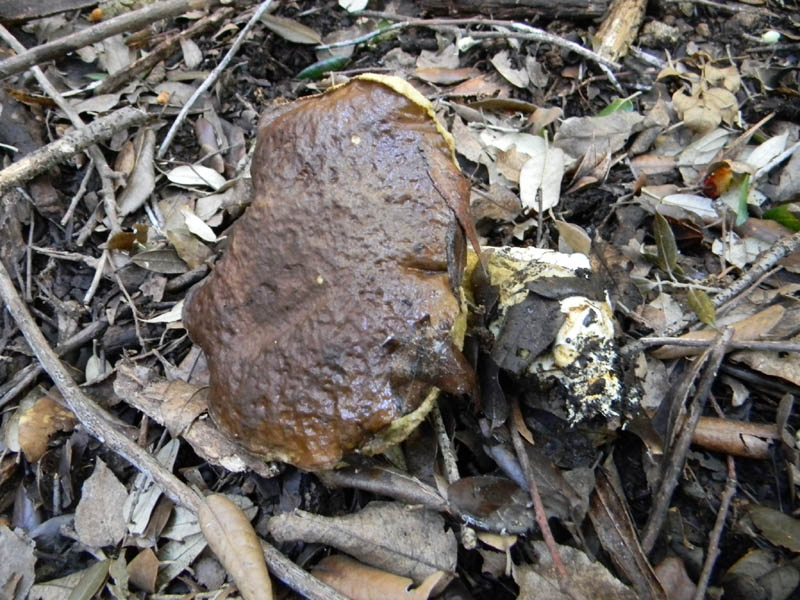 Alcuni ritrovamenti del 10.12.2010.