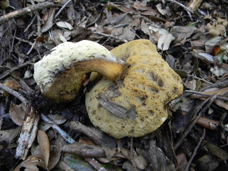 Alcuni ritrovamenti del 10.12.2010.