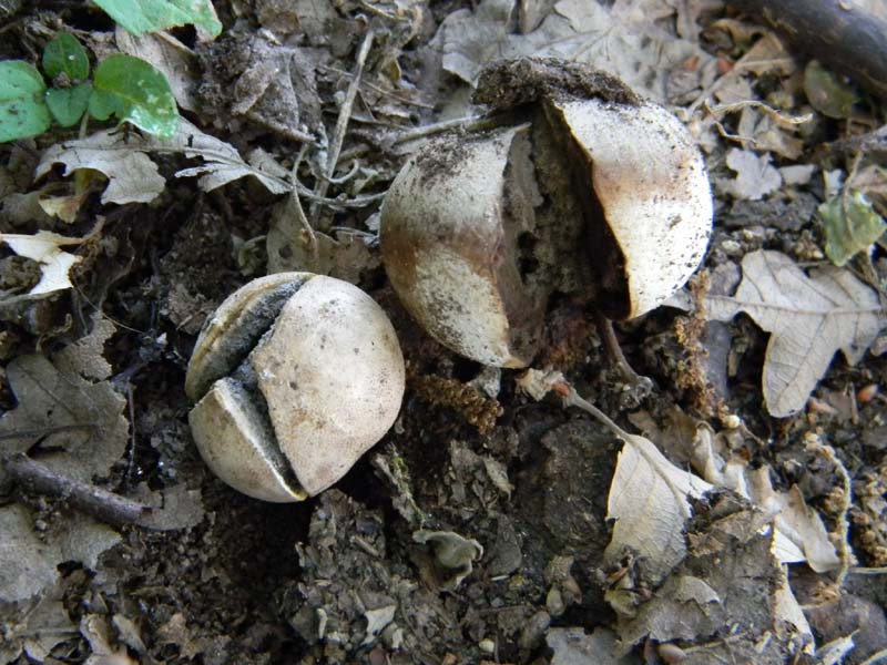 Ritrovamenti del 24.06.2011. 2gruppo