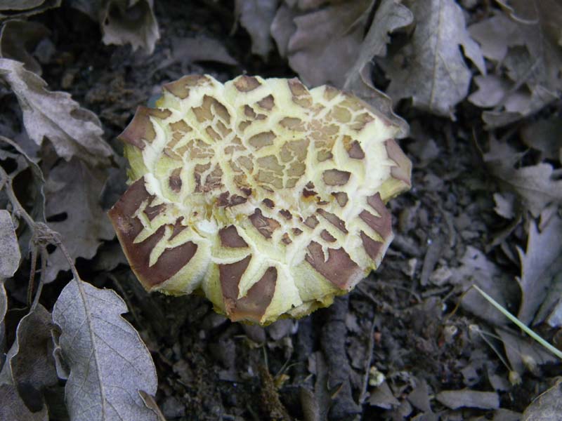 Ritrovamenti del 24.06.2011. 2gruppo