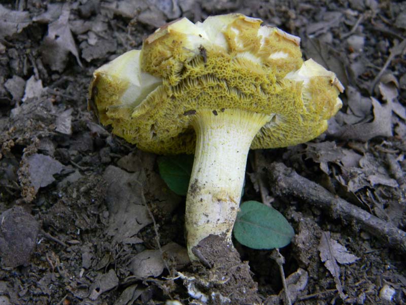 Ritrovamenti del 24.06.2011. 2gruppo