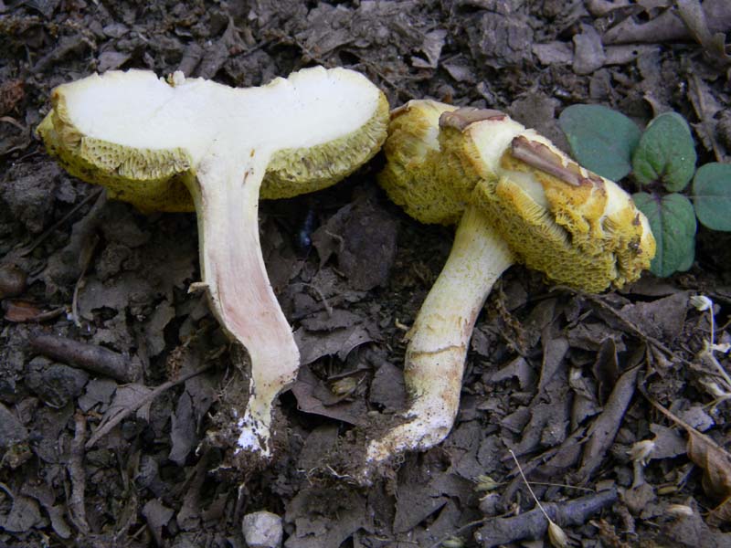 Ritrovamenti del 24.06.2011. 2gruppo