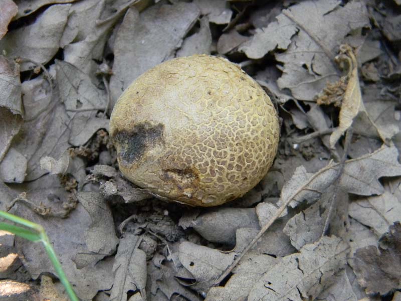 Ritrovamenti del 24.06.2011. 3gruppo