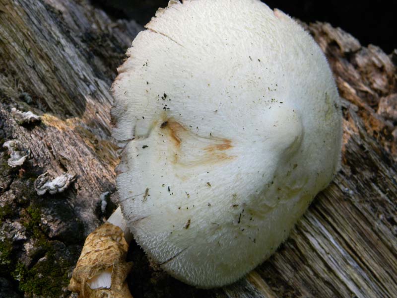 Ritrovamenti del 24.06.2011. 3gruppo