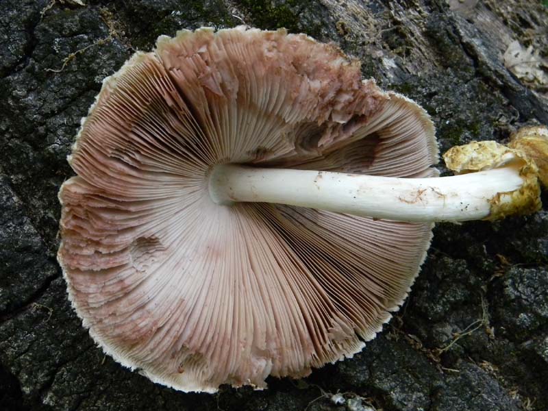 Ritrovamenti del 24.06.2011. 3gruppo