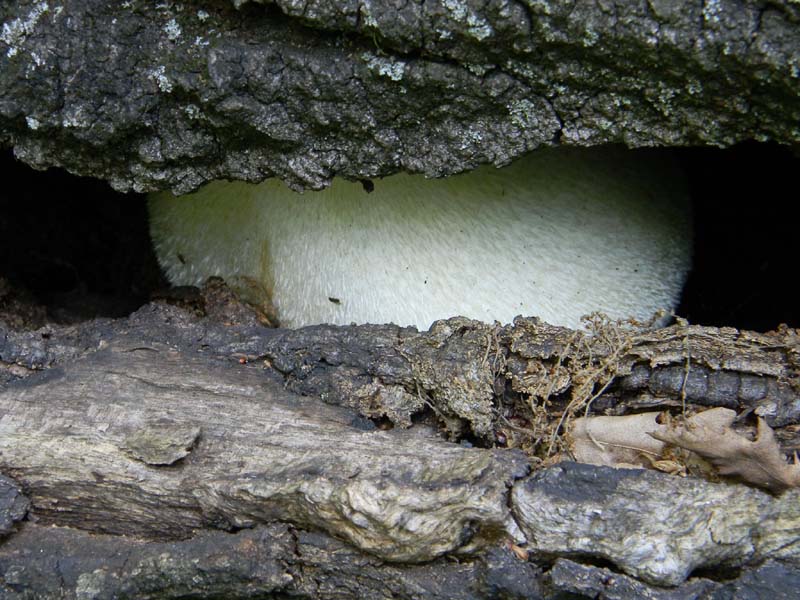 Ritrovamenti del 24.06.2011. 3gruppo