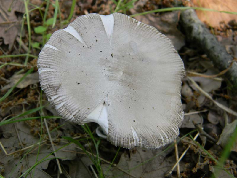 Ritrovamenti del 24.06.2011. 3gruppo