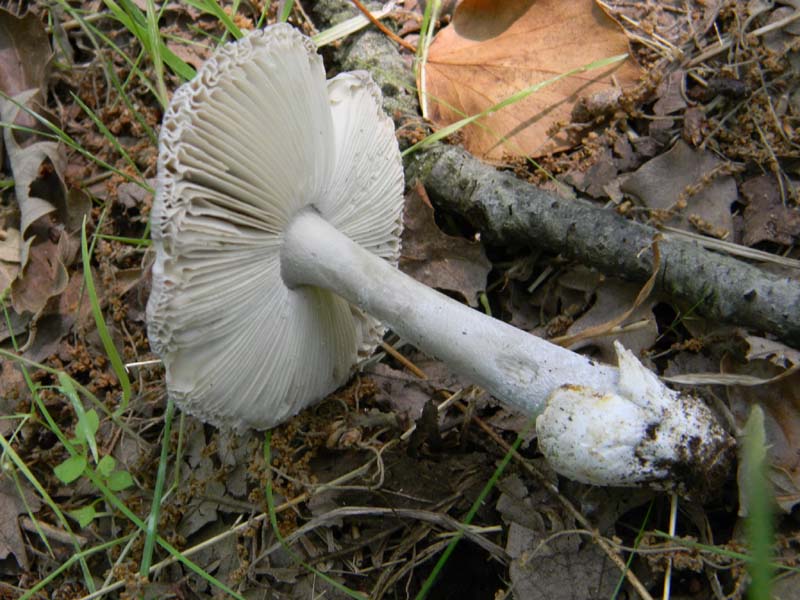 Ritrovamenti del 24.06.2011. 3gruppo