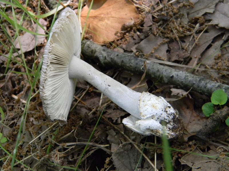 Ritrovamenti del 24.06.2011. 3gruppo