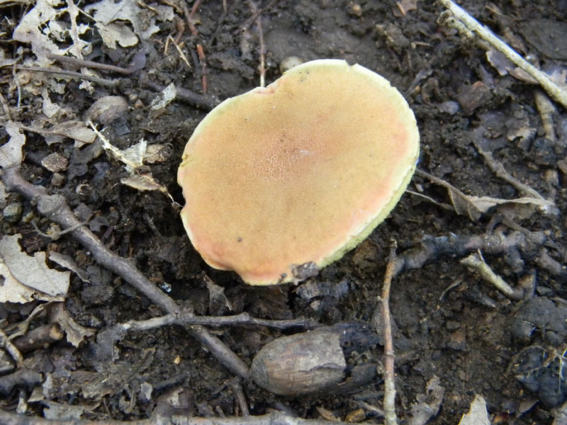 2�gruppo fotog.il 29.07.2011.sotto Quercia