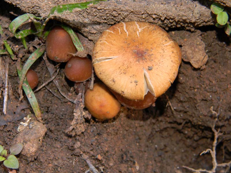 Altri due ritrovamenti  del 11.03.2011.