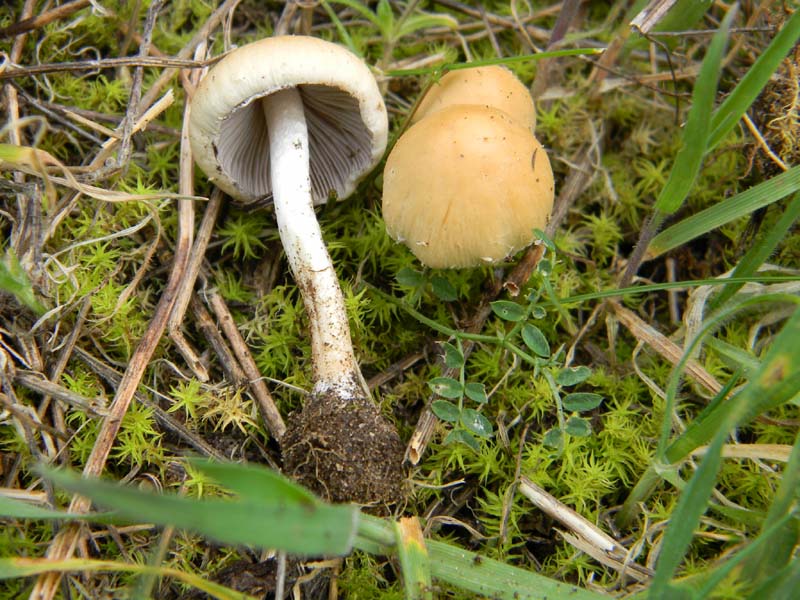 Alcuni ritrovamenti del 22.03.2011.