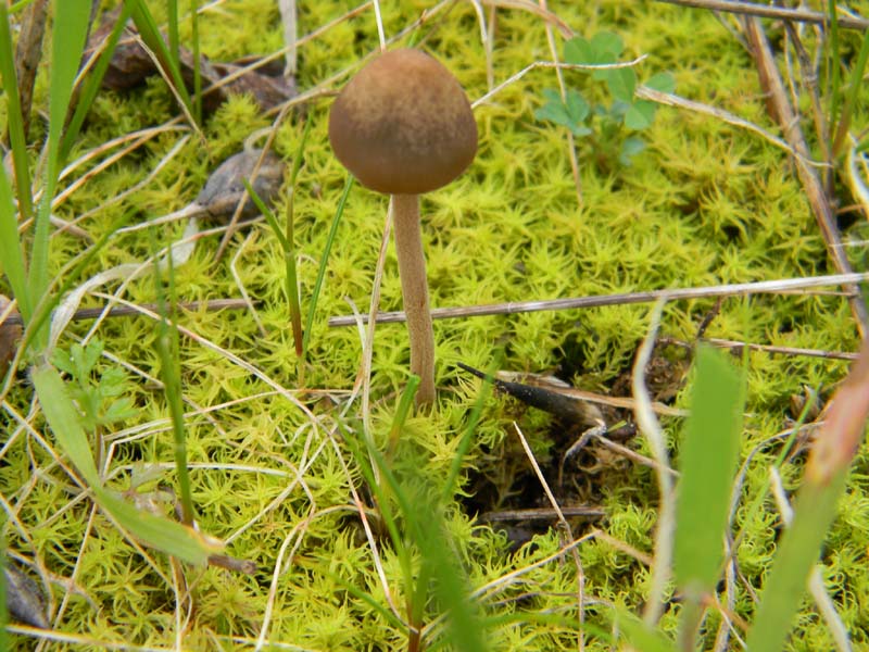 Alcuni ritrovamenti del 22.03.2011.