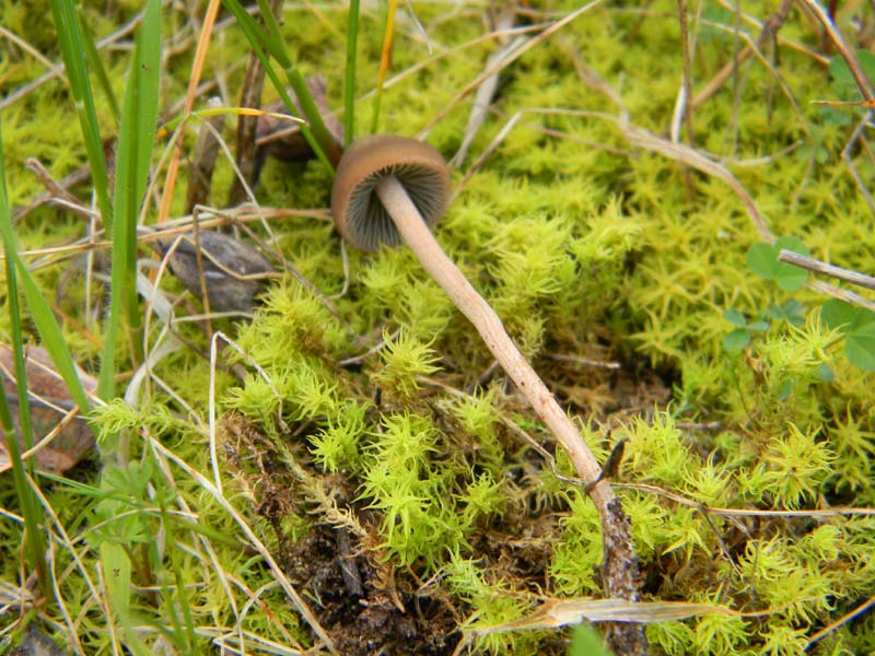 Alcuni ritrovamenti del 22.03.2011.