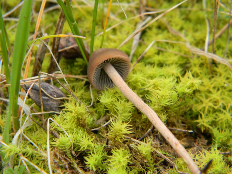 Alcuni ritrovamenti del 22.03.2011.