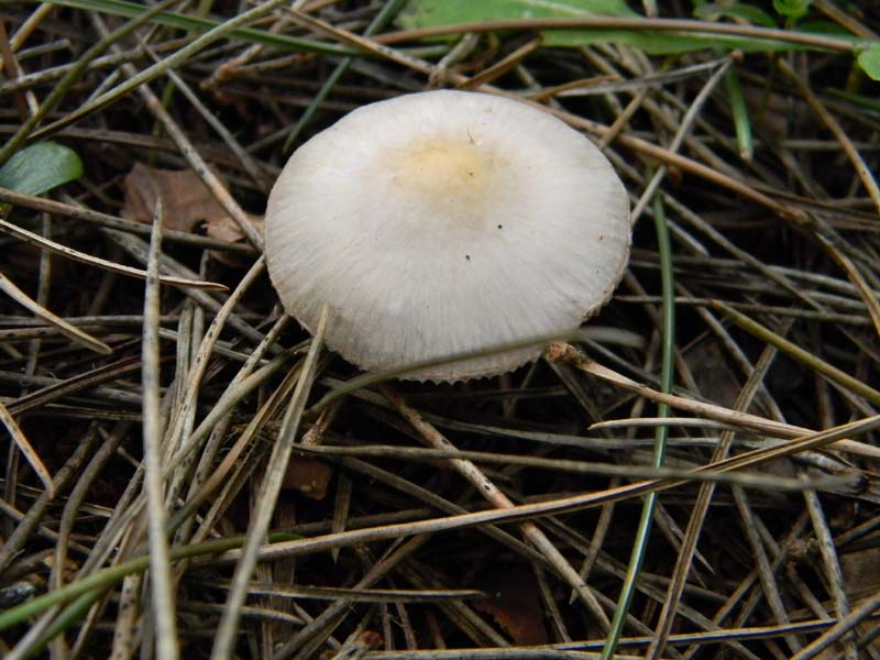 Alcuni ritrovamenti del 22.03.2011.