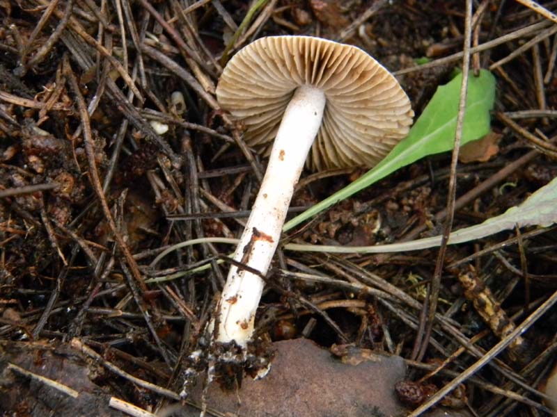 Alcuni ritrovamenti del 22.03.2011.