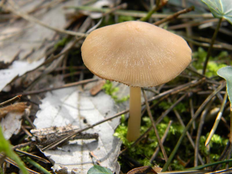 Altri ritrovameti  del 22.03.2011