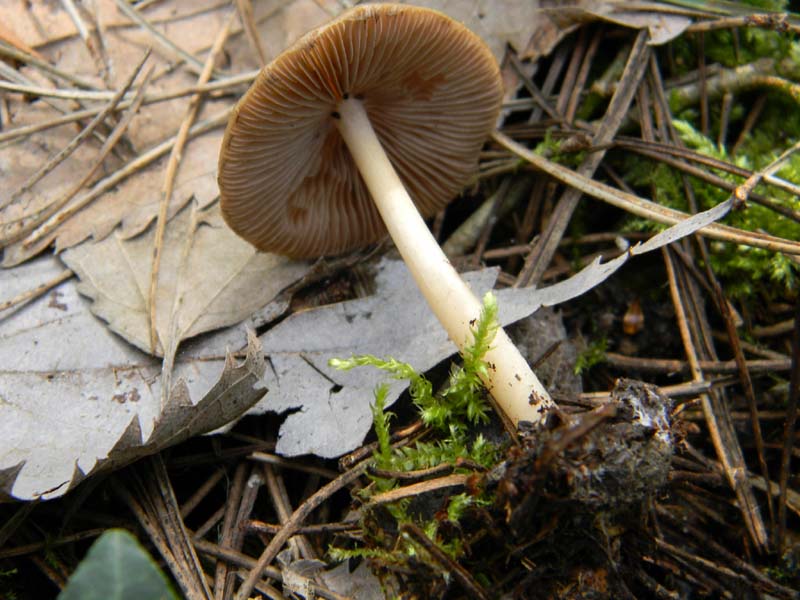 Altri ritrovameti  del 22.03.2011