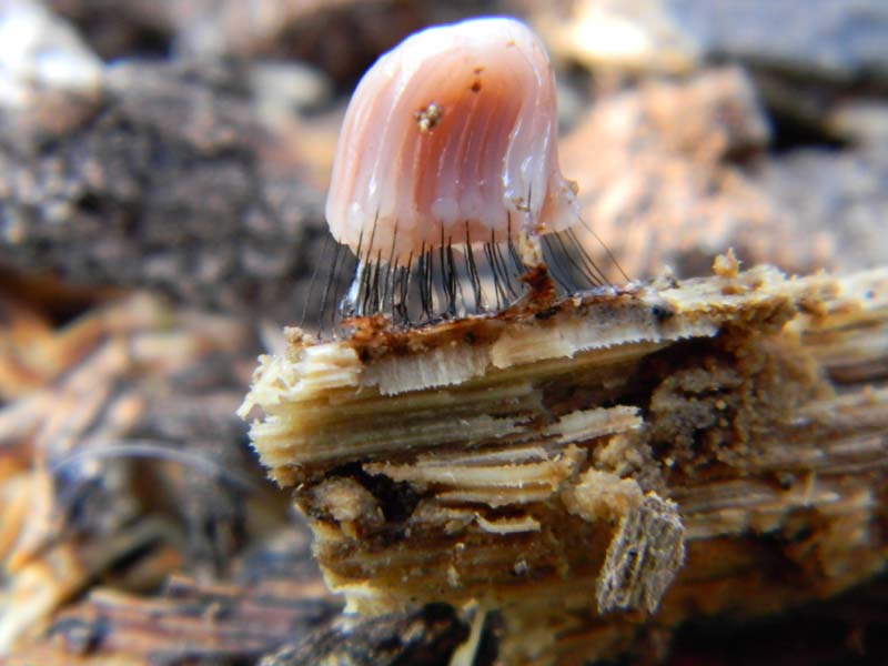 Altro ritrovamento con il mio amico nonnoantonio il