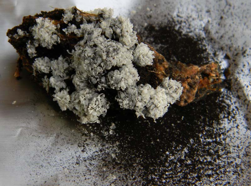 Ritrovamento con il mio amico nonnoantonio 25.03.2011