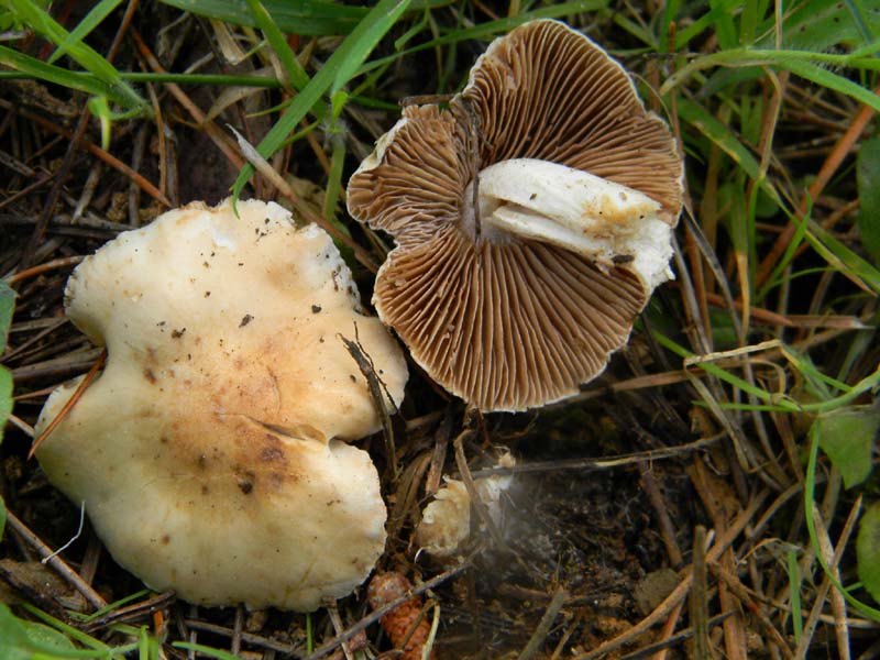 Ritrovamenti del 29.03.2011.