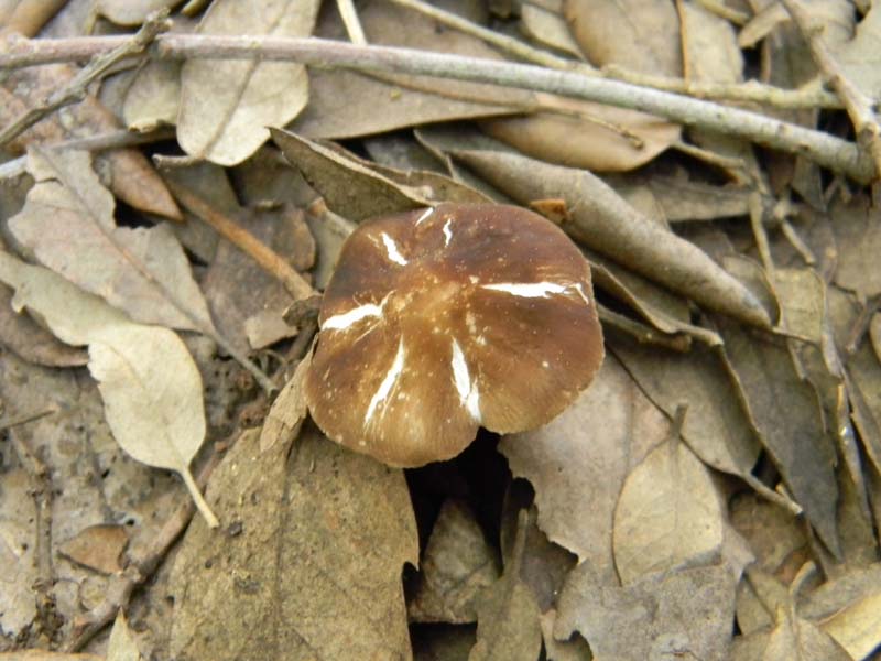 Ritrovamenti del 29.03.2011.