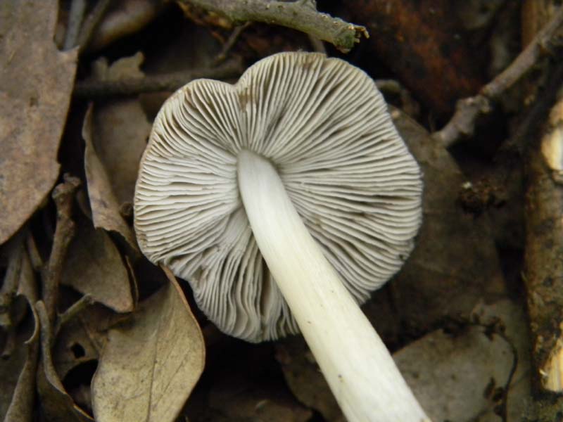 Ritrovamenti del 29.03.2011.