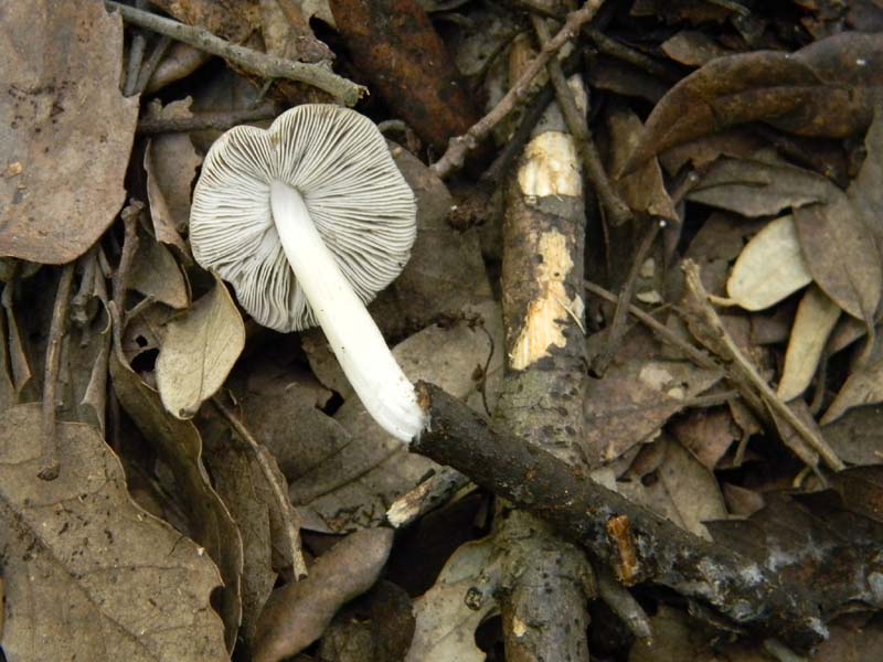 Ritrovamenti del 29.03.2011.