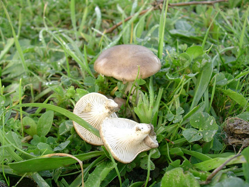 Raccontino autentico della scorsa settimana.