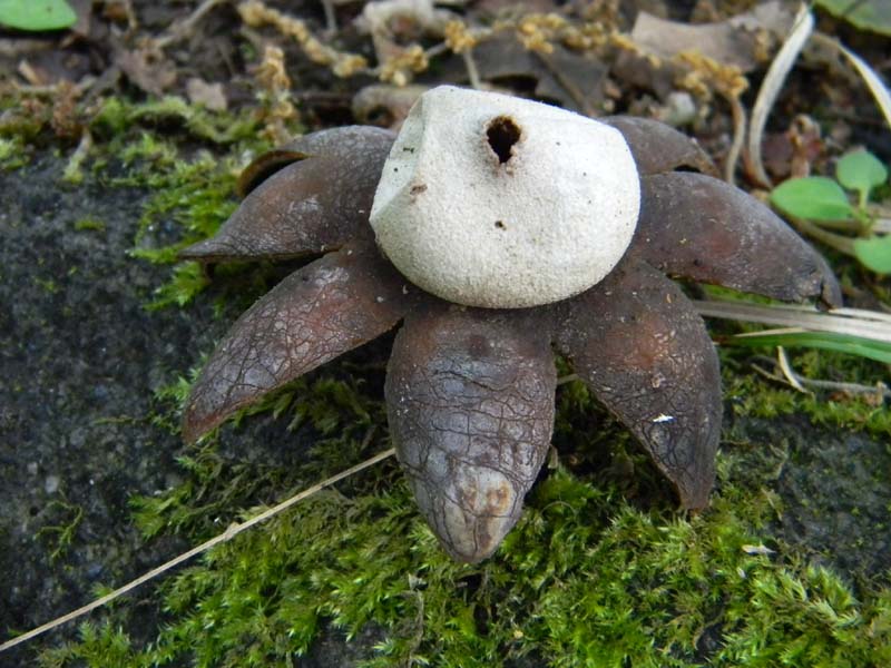 Altri ritrovamenti del 24.05.2011.con nonno Antonio