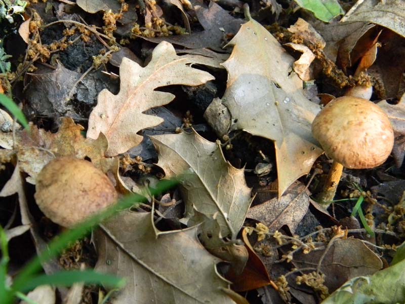 Altri ritrovamenti del 24.05.2011.