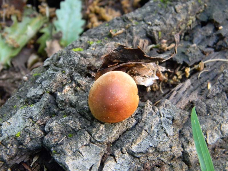 Altri ritrovamenti del 24.05.2011.