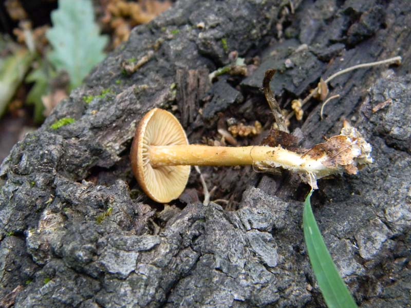 Altri ritrovamenti del 24.05.2011.