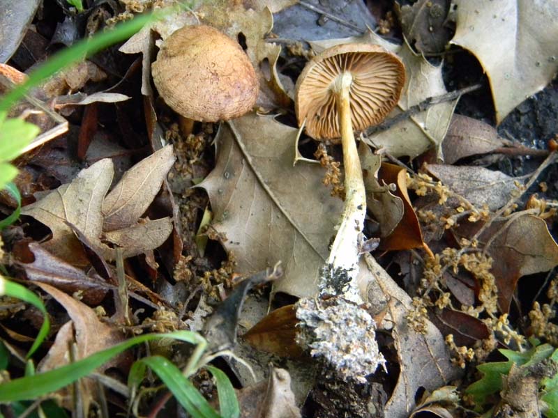 Altri ritrovamenti del 24.05.2011.