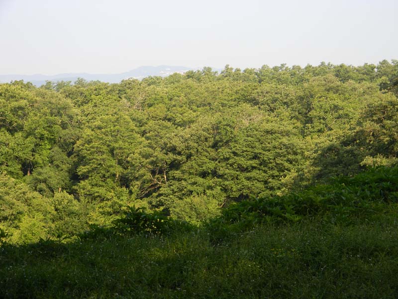 Altri ritrovamenti del 24.05.2011.con nonno Antonio