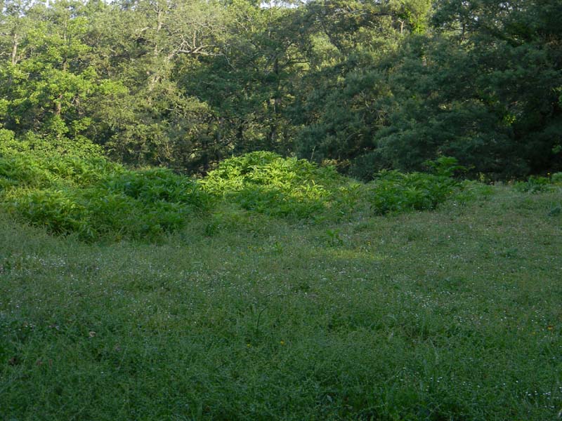 Altri ritrovamenti del 24.05.2011.con nonno Antonio