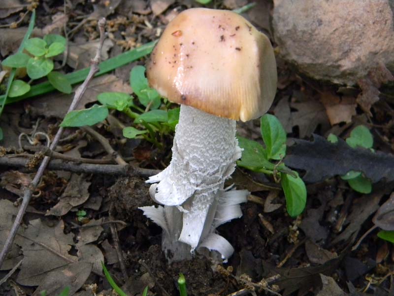 I ritrovamenti del 24.05.2011.fatte con nonno Antonio