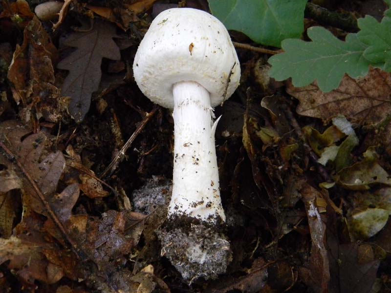 Altri ritrovamenti del 24.05.2011.