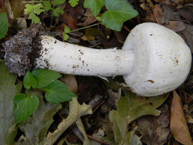 Altri ritrovamenti del 24.05.2011.