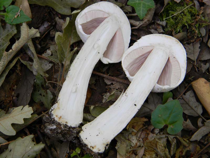 Altri ritrovamenti del 24.05.2011.